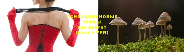 дмт Зеленокумск