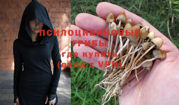 дмт Зеленокумск