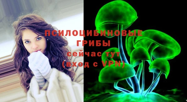 дмт Зеленокумск