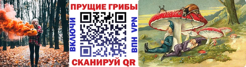 OMG вход  Инта  Галлюциногенные грибы ЛСД 